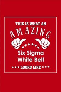 This is What an Amazing Six Sigma White Belt Look Like