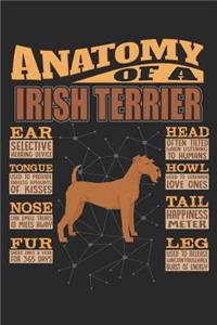 Anatomy Of A Irish Terrier