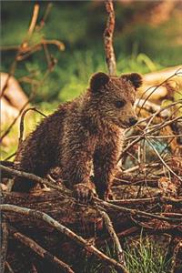 Brown Bear in the Wild: Journal Notebook With Blank Lined Pages for Bear Lovers