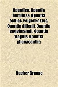Opuntien: Opuntia Humifusa, Opuntia Echios, Feigenkaktus, Opuntia Dillenii, Opuntia Engelmannii, Opuntia Fragilis, Opuntia Phaea