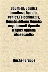 Opuntien: Opuntia Humifusa, Opuntia Echios, Feigenkaktus, Opuntia Dillenii, Opuntia Engelmannii, Opuntia Fragilis, Opuntia Phaea