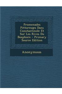Promenades Pittoresqes Dans Constantinole Et Sur Les Rives Du Bosphore