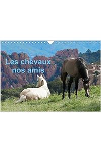 Les Chevaux Nos Amis 2018