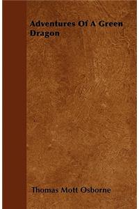 Adventures Of A Green Dragon