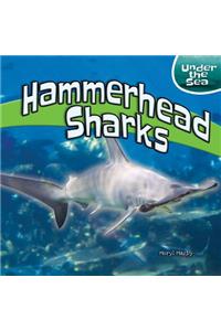 Hammerhead Sharks