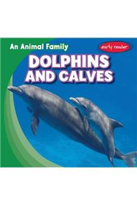 Dolphins and Calves