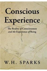 Conscious Experience