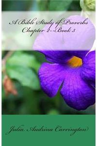 A Bible Study of Proverbs Chapter 2--Book 3