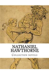 Nathaniel Hawthorne, Collection novels
