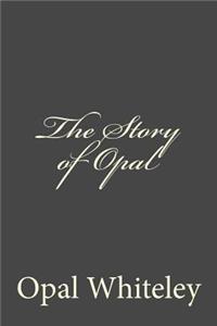 The Story of Opal