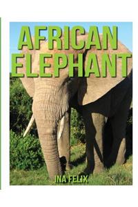 African Elephant