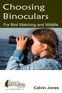 Choosing Binoculars for Bird Watching and Wildlife: 12 essential tips to help you pick the perfect wildlife and birding binocular