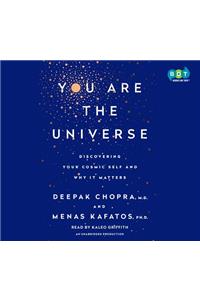 You Are the Universe
