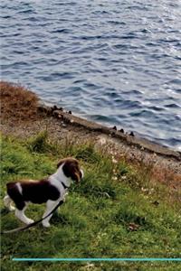 English Springer Spaniel Affirmations Workbook English Springer Spaniel Presents: Positive and Loving Affirmations Workbook. Includes: Mentoring Questions, Guidance, Supporting You.
