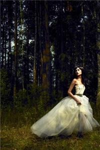 Lost Princess Journal