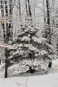 Journal Winter Picture