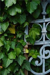 Wrought Iron Fence and Ivy Journal