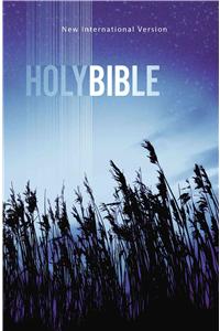 Outreach Bible-NIV