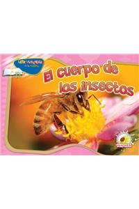 El Cuerpo de Los Insectos