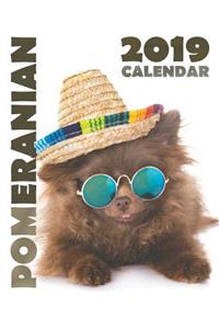 Pomeranian 2019 Calendar