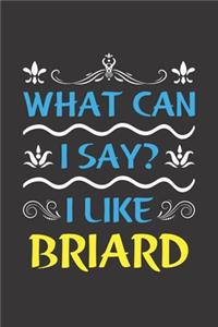 What Can I Say? I Like Briard