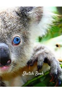 Sketch Book