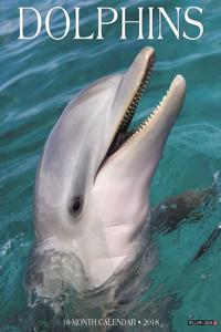 Dolphins 2018 Wall Calendar