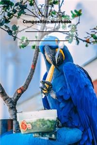 Composition Notebook