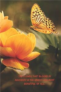 The flower that blooms in adversity is the rarest and most beautiful of all.