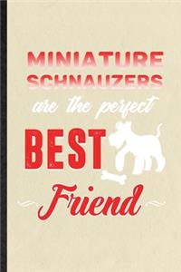 Miniature Schnauzers Are the Perfect Best Friend