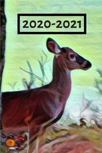 Cute Brown Doe Deer by Water Dated Calendar Planner 2 years To-Do Lists, Tasks, Notes Appointments for Men & Women