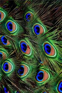 The Peacock Feathers Journal