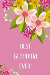 Best Grandma Ever!