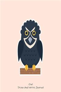 Owl Draw And Write Journal