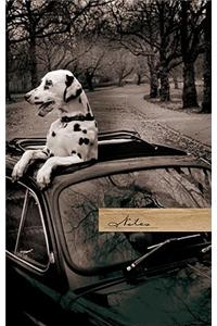 Dalmation in a Car Small Journal with Elastic