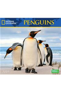 Cal 2019 National Geographic Penguins