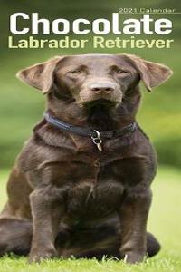 Chocolate Labrador Retriever 2021 Slim Calendar