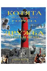 Котята Волшебного Города. Книга 3