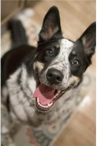 Dog Journal/Notebook