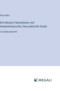 Drei Monate Fabrikarbeiter und Handwerksbursche; Eine praktische Studie
