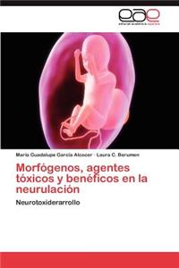 Morfogenos, Agentes Toxicos y Beneficos En La Neurulacion