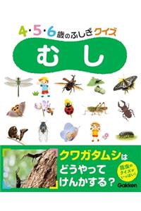 Insects (Quiz for 4∙5∙6-Year-Old Kids)