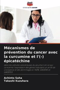 Mécanismes de prévention du cancer avec la curcumine et l'(-) épicatéchine