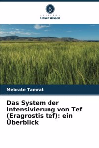 System der Intensivierung von Tef (Eragrostis tef)