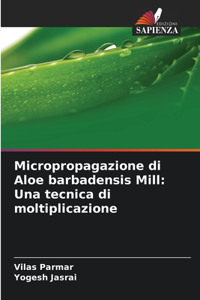 Micropropagazione di Aloe barbadensis Mill