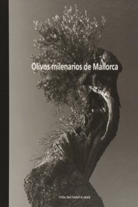 Los olivos milenarios de Mallorca