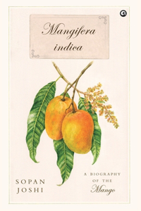 Mangifera indica