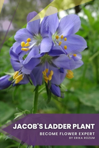 Jacob's Ladder Plant