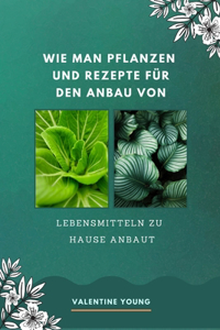 Wie man Pflanzen und Rezepte für den Anbau von Lebensmitteln zu Hause anbaut