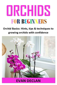 Orchids for Beginners